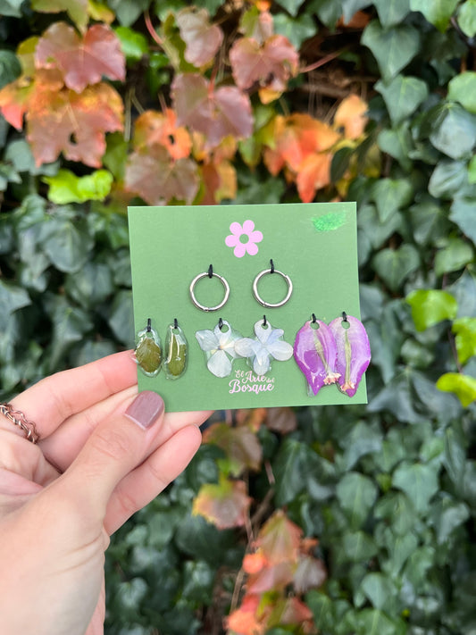 Set aritos + charms Botánicos